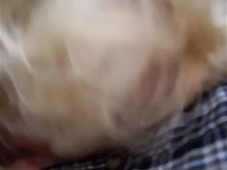 12376 blowjob porn videos